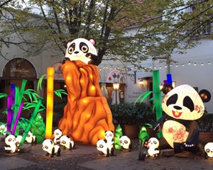 Lanterna chinesa brilhando no Festival das Luzes de Berlim