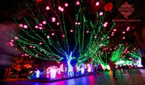 Ĉina Provizanto Malproksima LED -Mult -Kolora RGB Kristnaska Lumo E27 LED -Filamento -Bulbo Festoon Party String Lights por Endomaj/Subĉielaj Ornamadoj