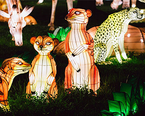 Asian Lantern Festival hauv Tallin Estonia