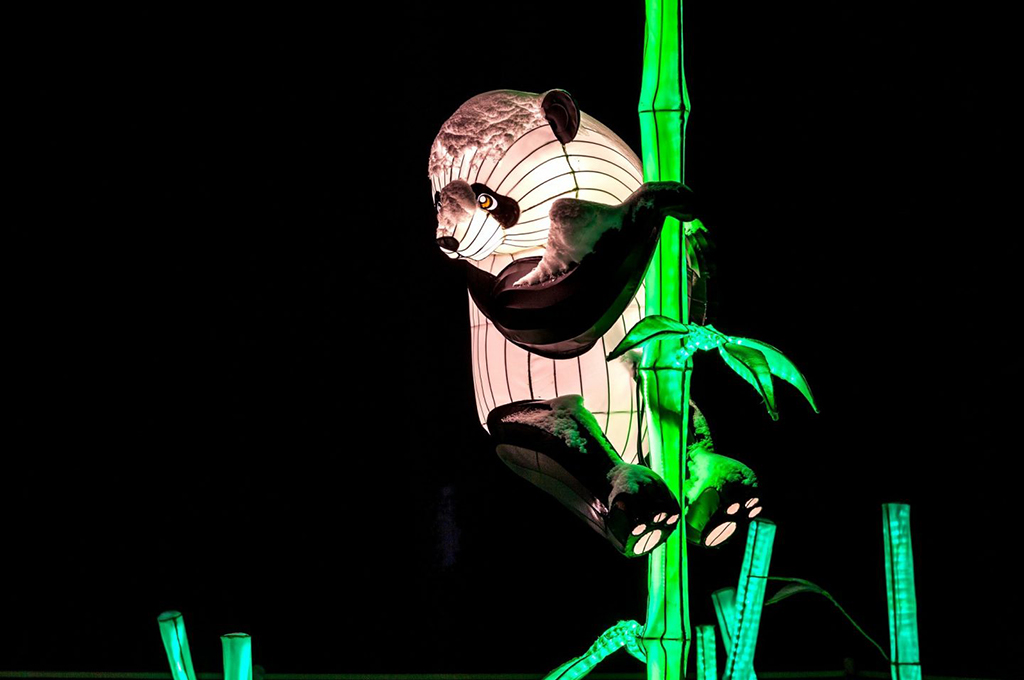China-made lanterns shine in Sibiu, Romania