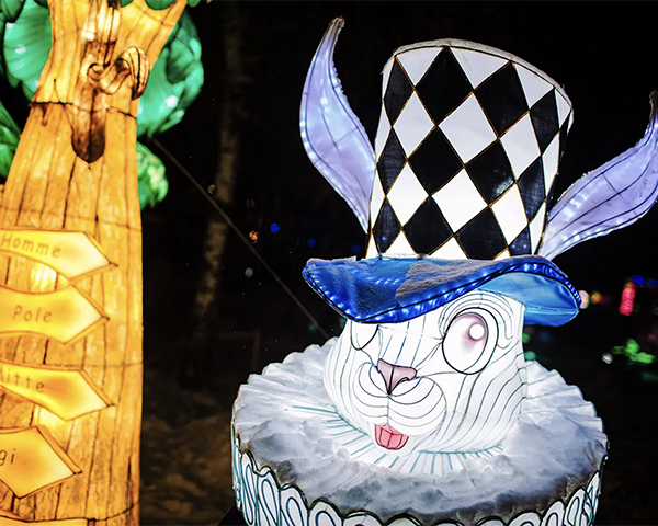 Valgusfestival Imedemaa “Alice no País das Maravilhas”