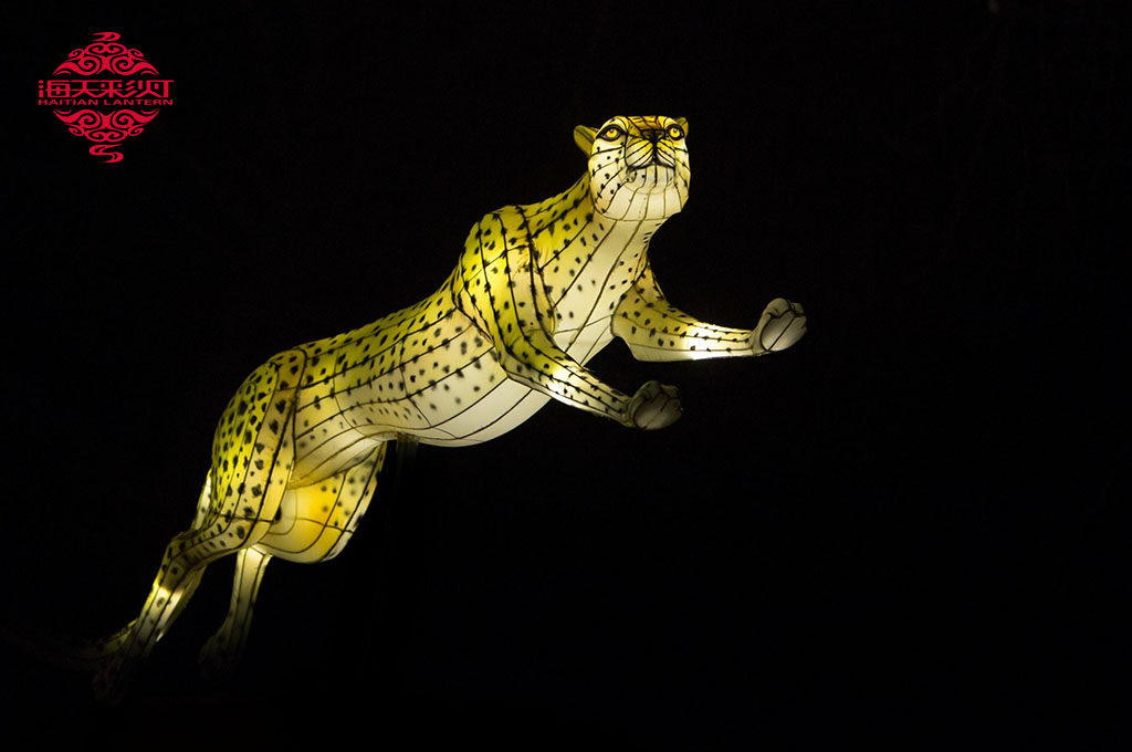 Leopard lanterne