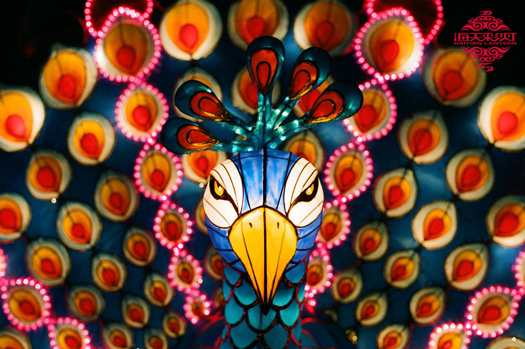 I-Peacock Lantern