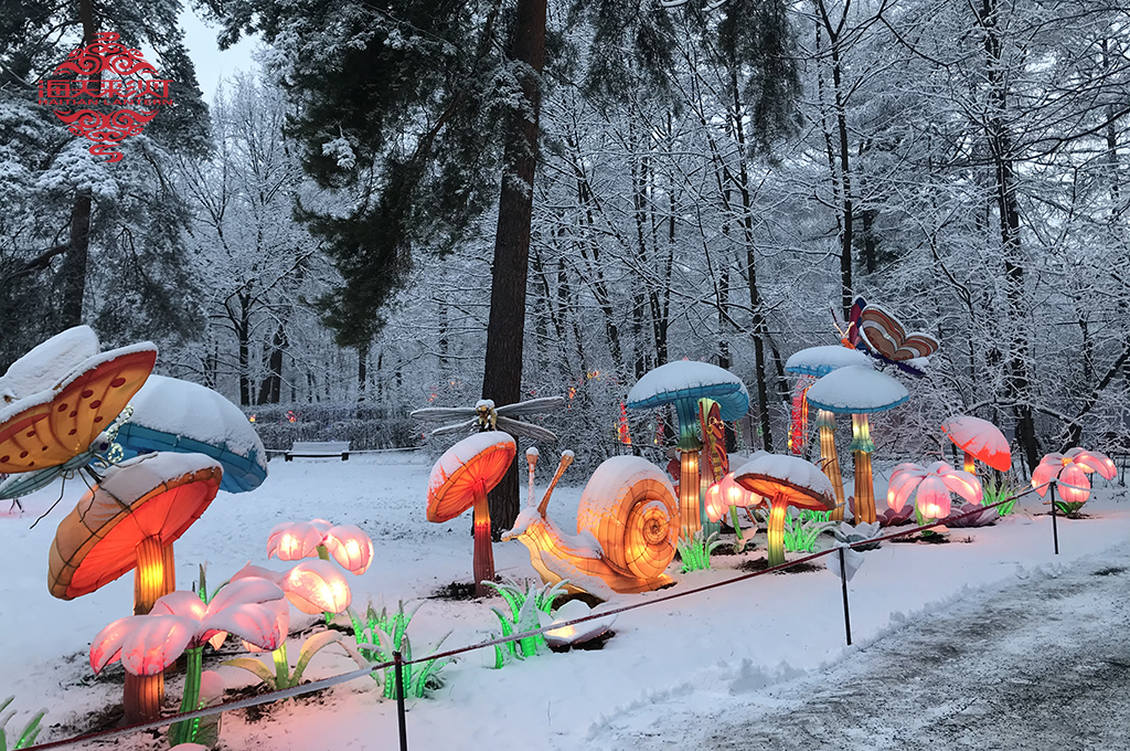 La belleza de las linternas chinas Una exhibición deslumbrante también en invierno 2