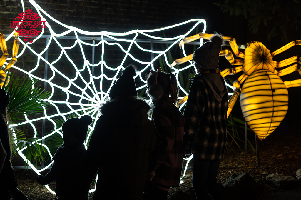 Gwyl Lantern WMSP pic3