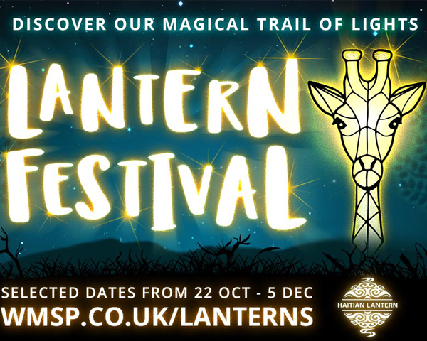 Lantern Festival in West Midland Safari Park