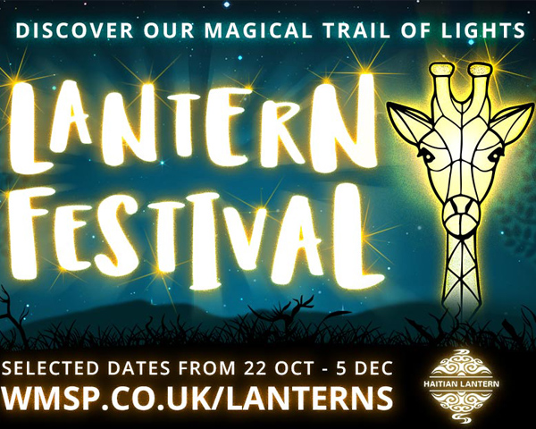 Lantern Festival i West Midland Safari Park