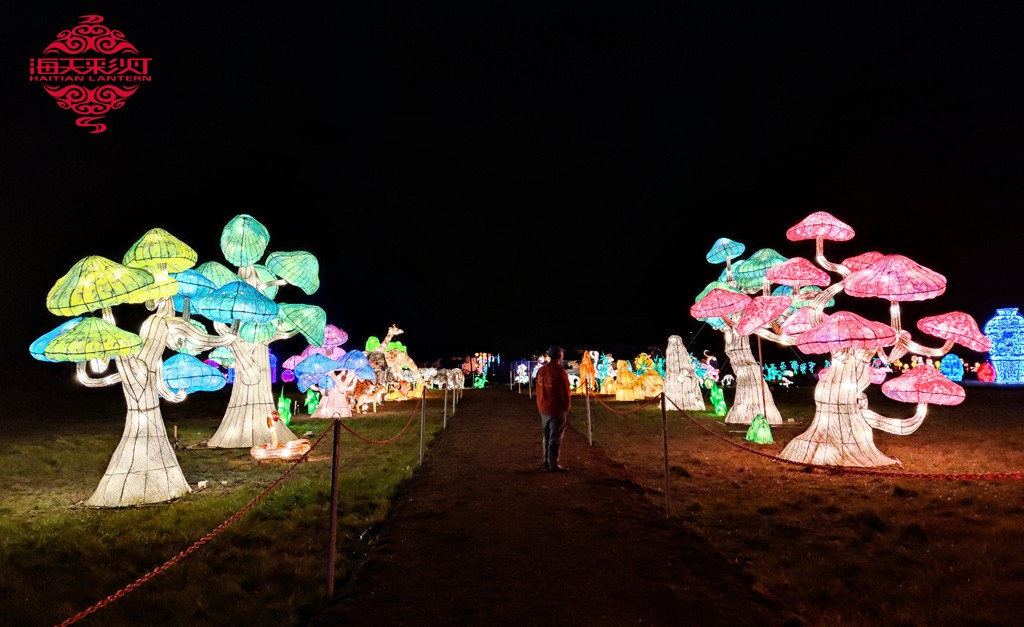 canada lantern festival[1]