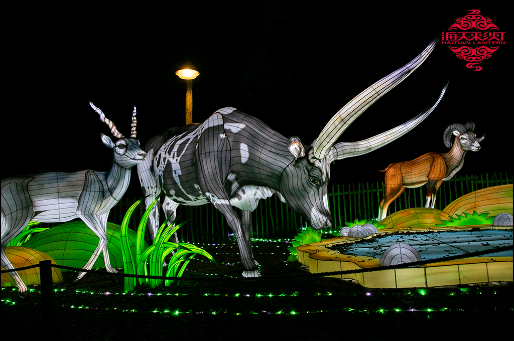 lantern festival 10