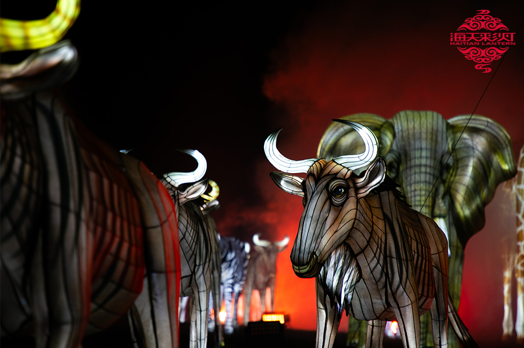 lantern festival 6