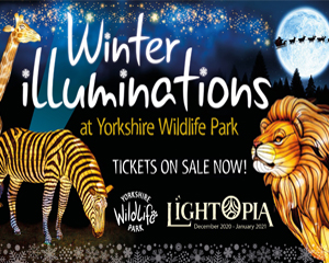 Зимно осветление в парка за диви животни в Йоркшир